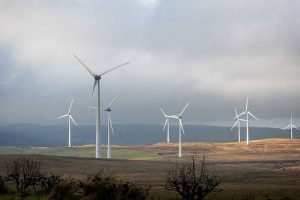 Торговая палата Северо-Восточной Англии призывает правительство поддержать потенциал на «зелёной» энергетики региона