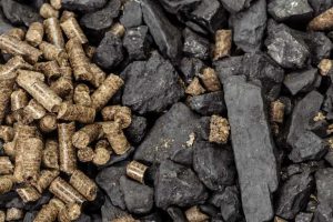 CHAR продвигает новый проект по переработке биомассы в RNG