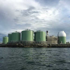 Компания Scandinavian Biogas собирается построить завод по производству био-СПГ в Швеции