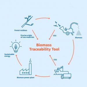 Baltpool запускает инструмент для отслеживания биомассы