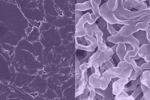 Исследователи занимаются созданием натриевого анода в качестве альтернативы литию