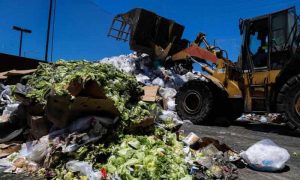 Вступил в силу закон о переработке органических отходов в Калифорнии