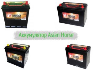 Аккумуляторы Asian Horse