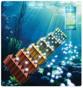 В литиевых аккумуляторах будущего могут использоваться ионы хлорида из морской воды
